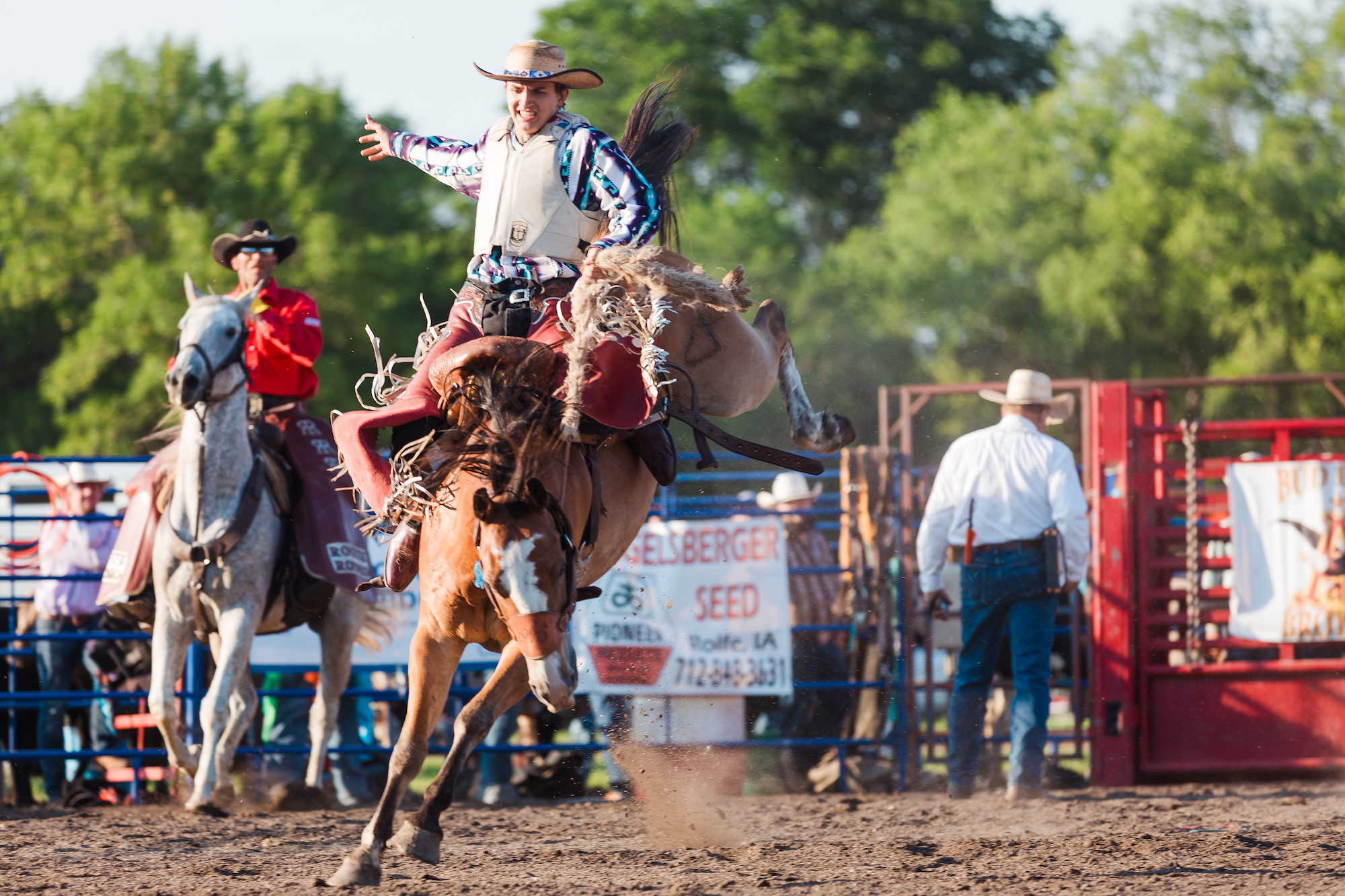 Rogue Rodeo Rolfe, IA LO Photography